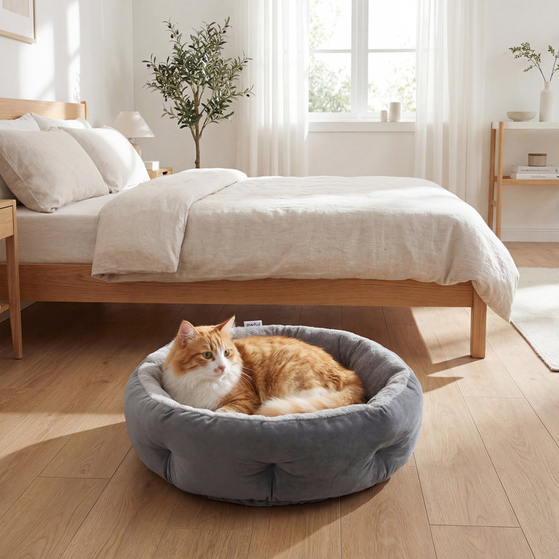 Pet Sofa