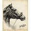"Whirlaway", reproduction sur toile tendue-18742345