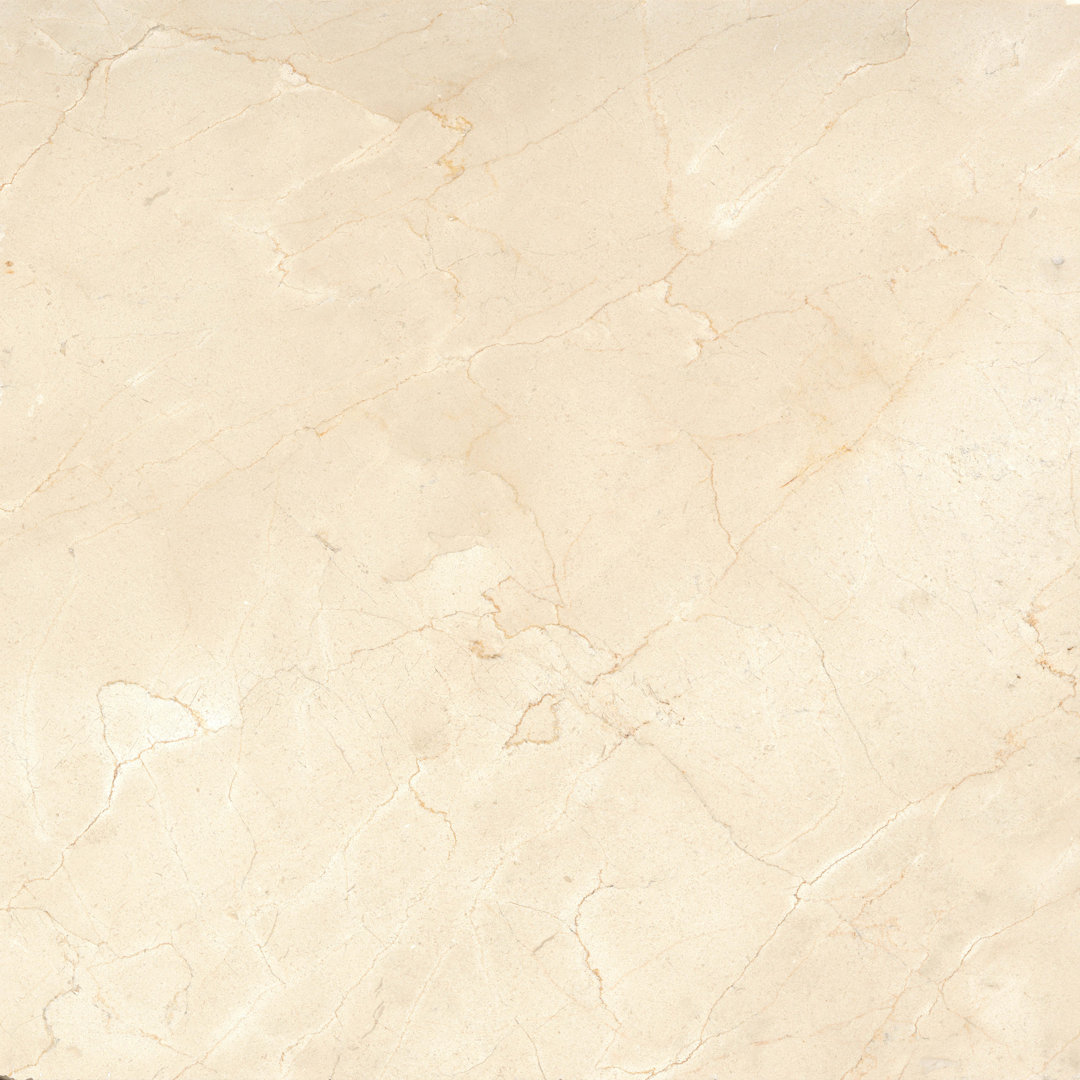 Marble Cmp Plus 24 in. x 24 in. Polished Marble Floor and Wall Tile ( sq. ft./Case) Emser Tile