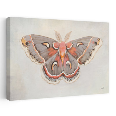 Forest Moth I Contemporary Animal Gray Brown Fluttering