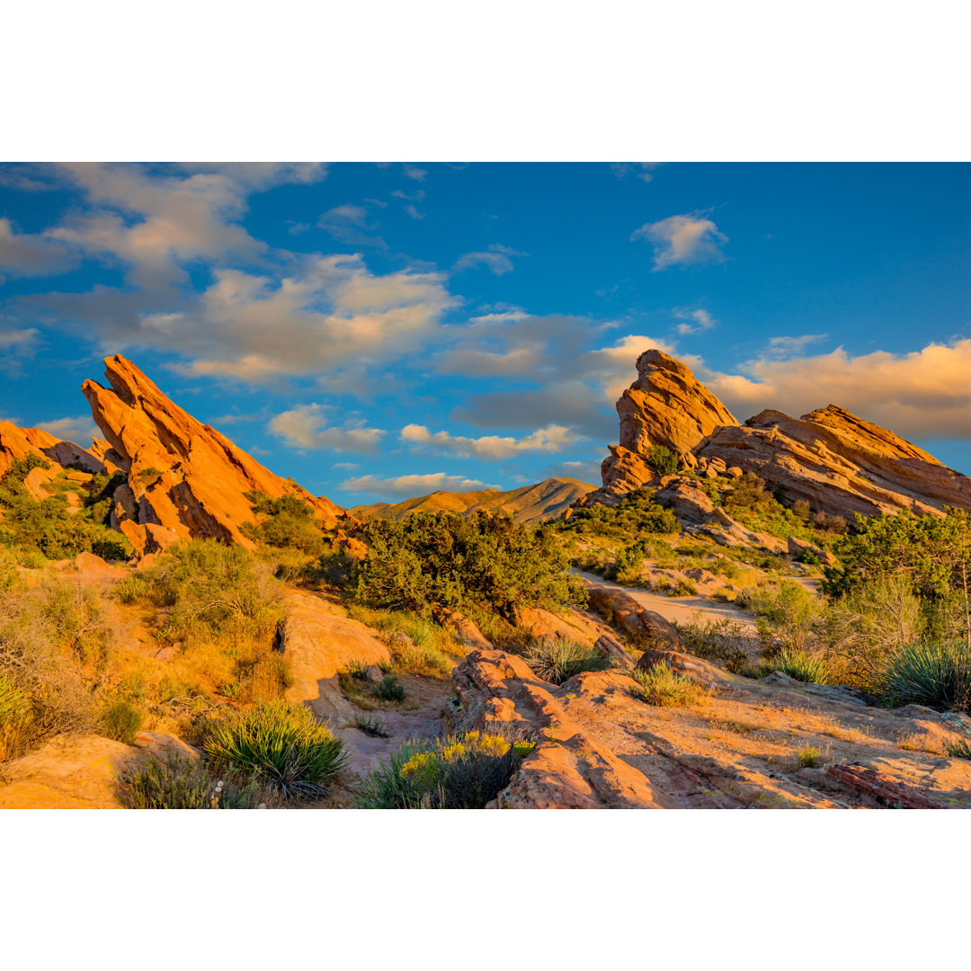 Vasquez Rocks Natural Area Park von Ron und Patty Thomas - Kunstdrucke auf Leinwand