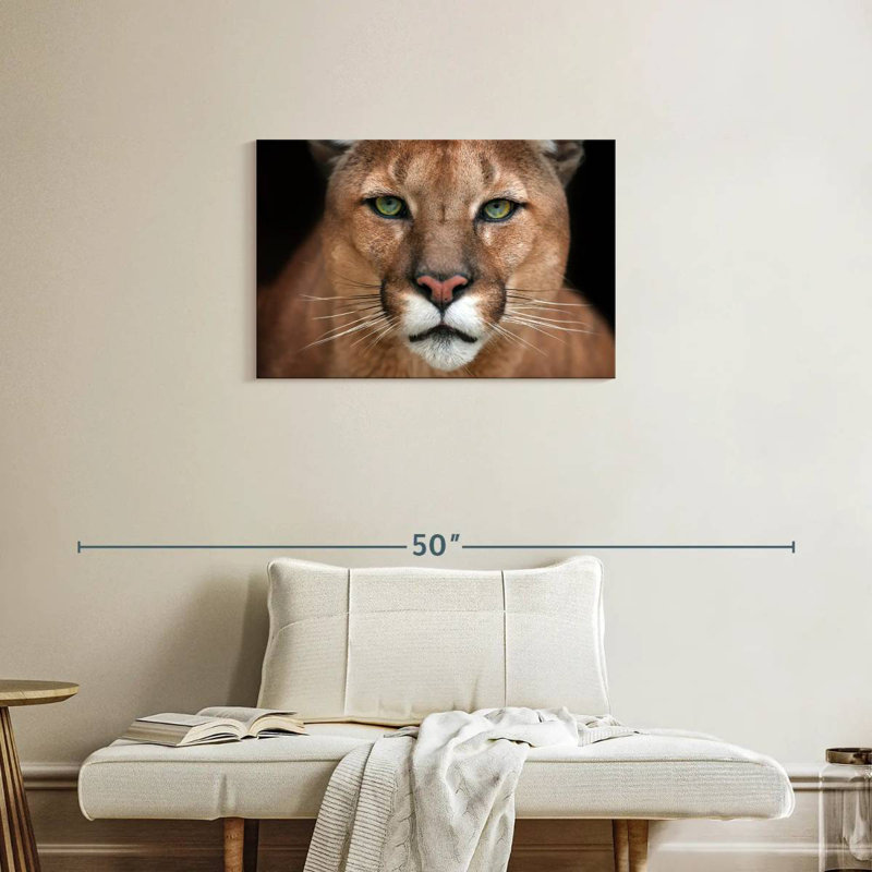 Crowle Staring Puma, 20" H x 30" W