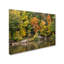« early automne », reproduction de photo sur toile tendue-616052852