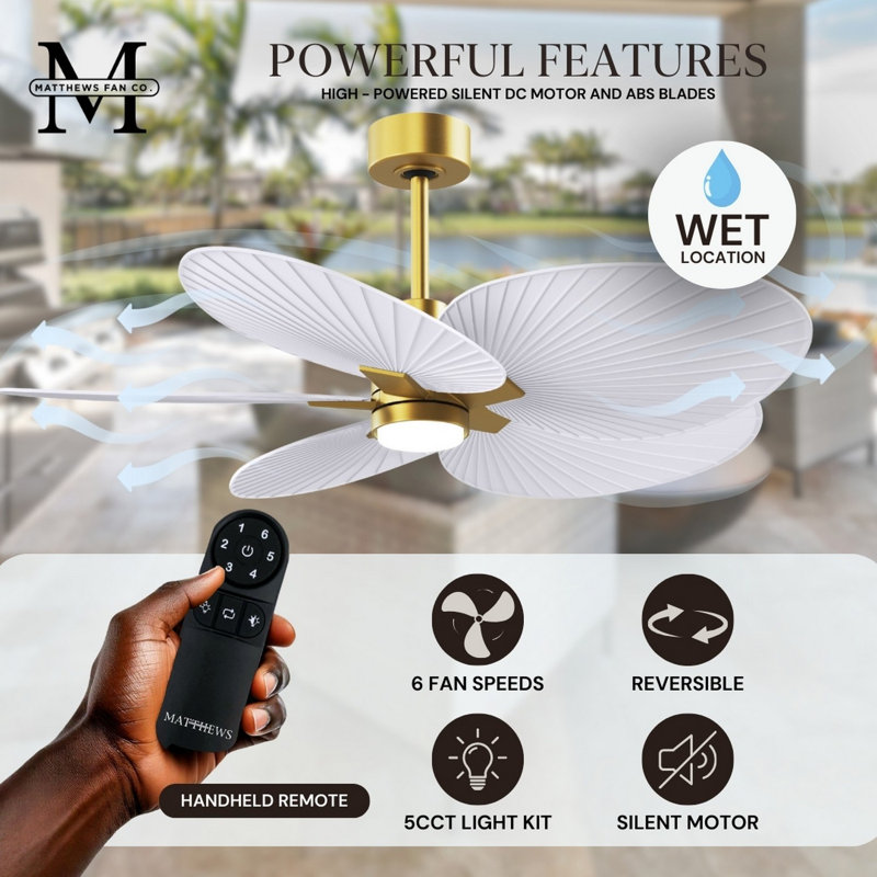 Alessandra Tropical - Five Blade Ceiling Fan - Matte White Finish - Matte White Blades, Brushed Brass, Matte White