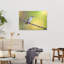 Peaceful Green Hummingbird Delicate Peaceful Serene Hummingbird Bird Forest Nature Wall Art Print by Atul Saluja - Print-1754298244