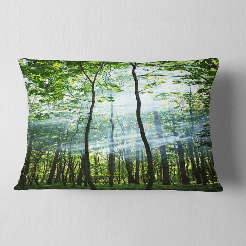 Coussin Schafer
