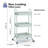 Stainless Steel Utility Rolling Cart, Metal Cart,3 Tier Rolling Cart,Utility Cart with Wheels,Bathroom Cart,Salon Trolley Cart,Kitchen Storage Cart-78878955