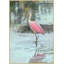 Spoonbill 2 Print
