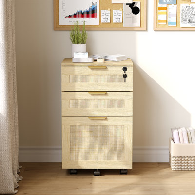 15.75" Rattan File Cabinet With Lock & 3 Drawers