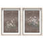 Secret Garden Set Shadowbox Floral & Botanical Print by Oliver Gal, Black Frame, 10 x 15-287468144-287468147
