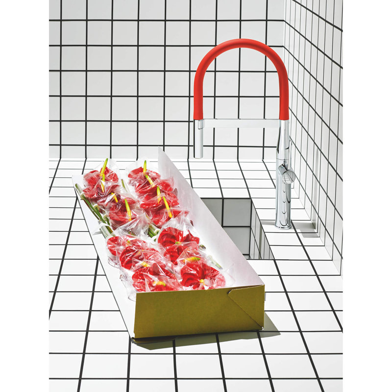 Bec de tuyau de cuisine Essence New, Rouge