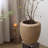 Comtemporary Swirl Planter-711357890