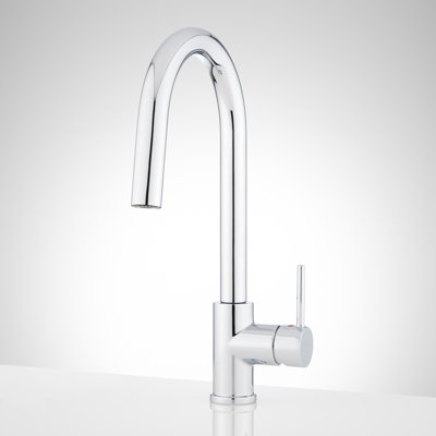 Ravenel Pull Down Single Handle Kitchen Faucet