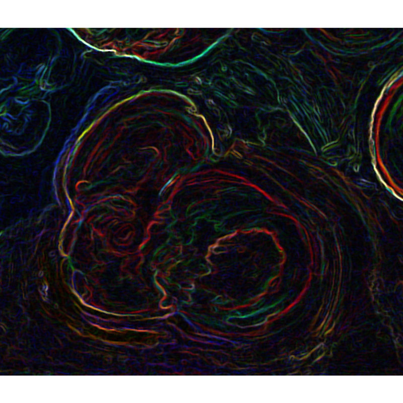 Particles 5 Painting by Irina Gorbman, 36" H x 36" W