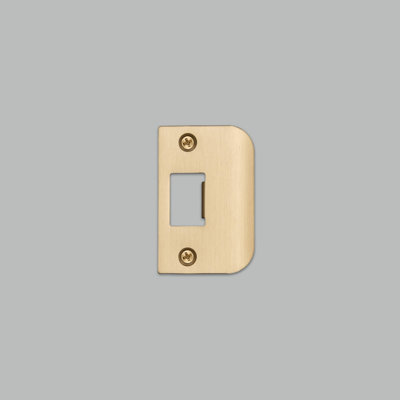 Strike Plate Kit / D Shaped