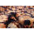 Andelz Navy Rug 3'8" x 9'4"