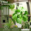 Plant Stand - Set of 10