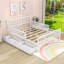 Hartlep Wood Platform Bed with Guardrails and 2 Drawers-1330106561-1330106574