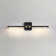 2-Light 24'' Dimmable LED Wall Mounted Picture Light