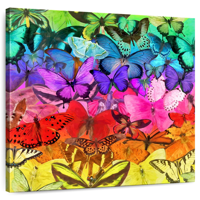Brampt Rainbow Of Butterflies