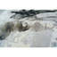 AURACH236MU05 Area Rug-64348375