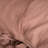 100% French Linen Duvet Cover & Sham Set-101946436-101946437