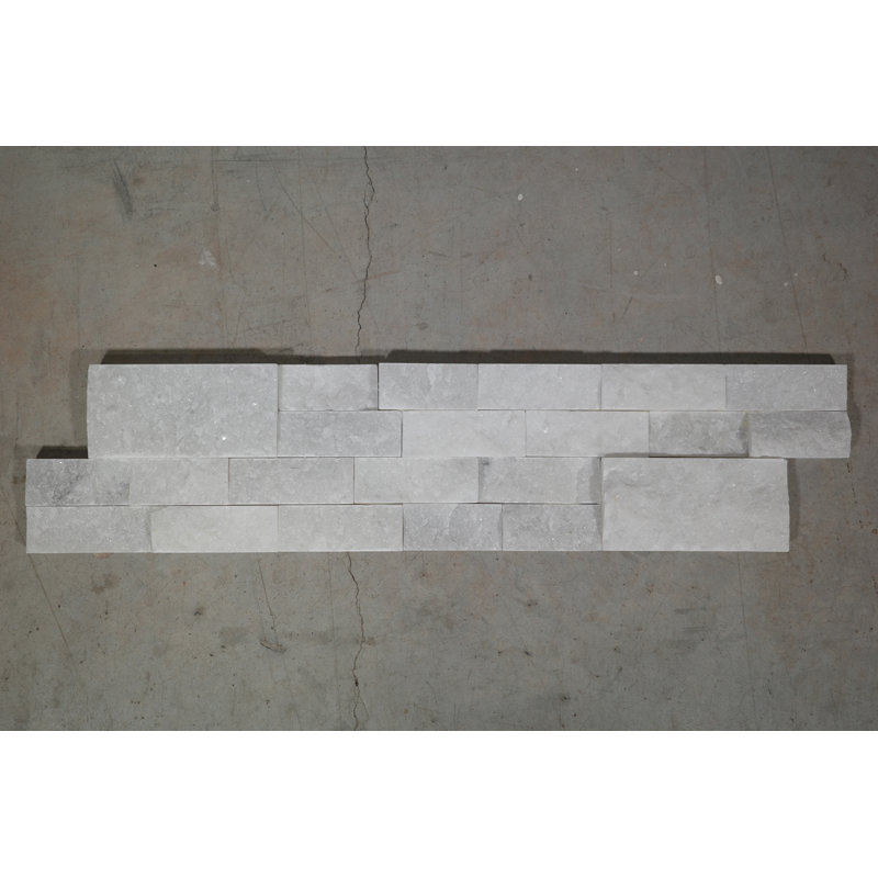 6 tuiles murales 6 x 24, Blanc