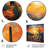 Cactus Sunset Desert Dreams In Mexico I - Desert Metal Wall Art-195403889