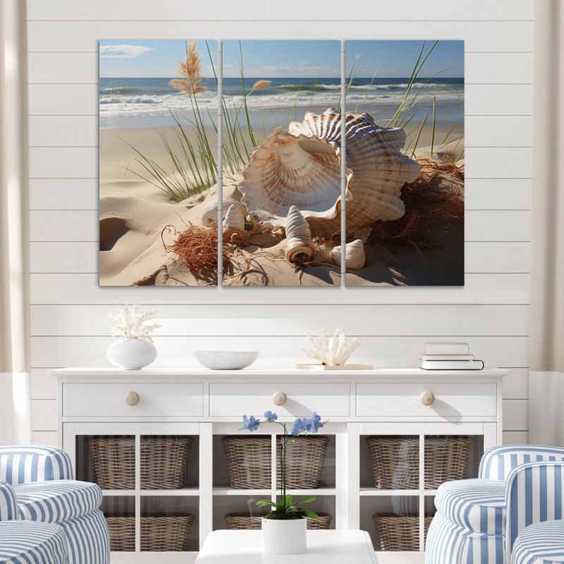 «Beach Photo Seashell Symphony I» sur toile, reproduction de 3 pièces, H 28 po x l 36 po x P 1 po