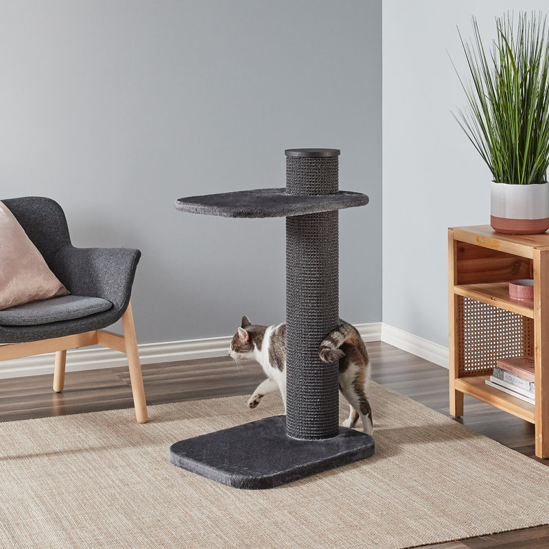 Farrell 38.2'' H Cat Tree, Gray