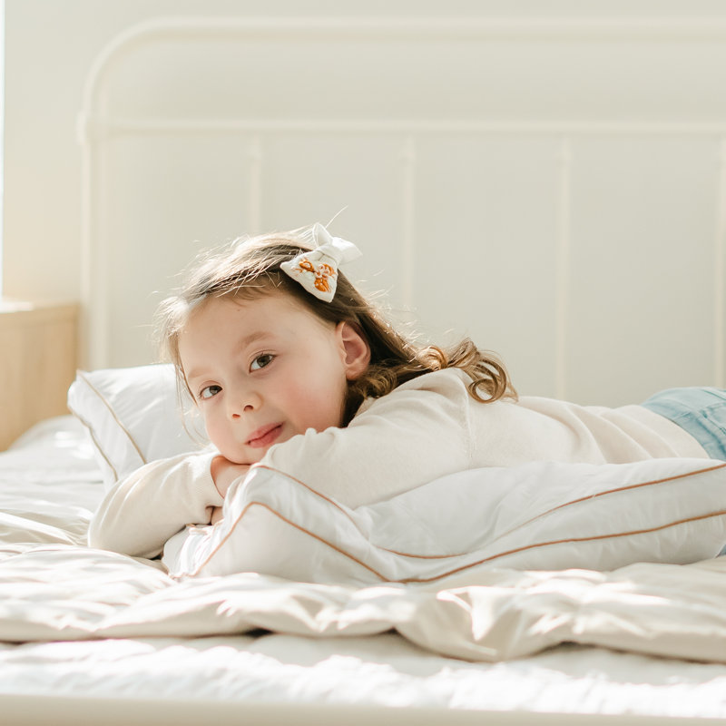 Queen White Goose Feather Down Pillow Set with Quilted Cotton Cover