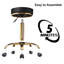 Adjustable Height Ergonomic Lab Stool with Footrest-115153805