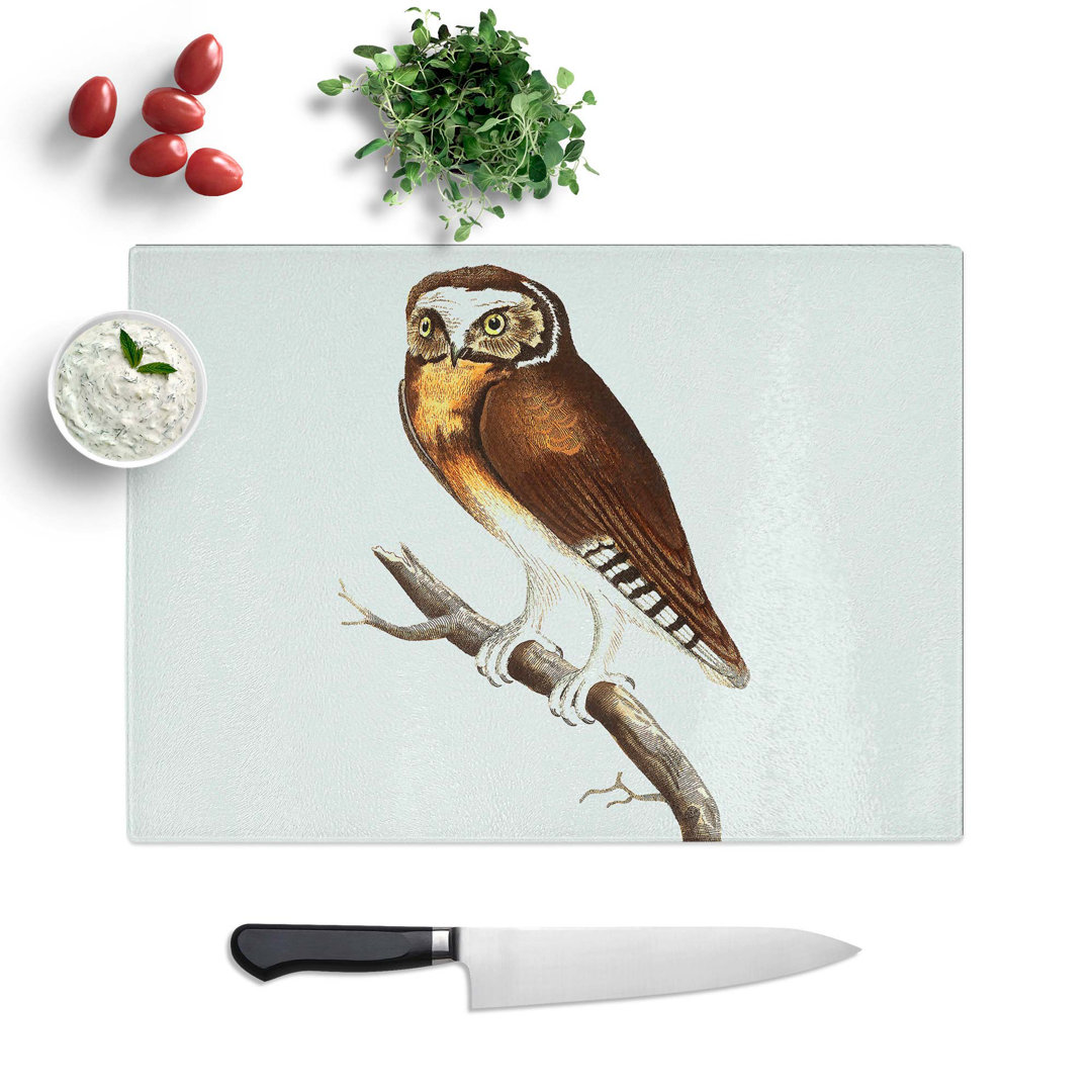 Tempered Glass White-Fronted Owl by George Shaw Chopping Board