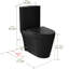Toilette allongée moderne monobloc Ace 1,6 GPF-88234900-111041675