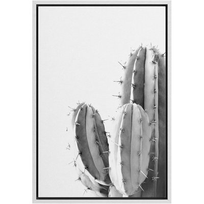 Black and White Southwest Desert Cactus Modern Botanical Photograph Wall Art Framed On Canvas Print