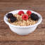 16 oz. Melamine Dining Bowl