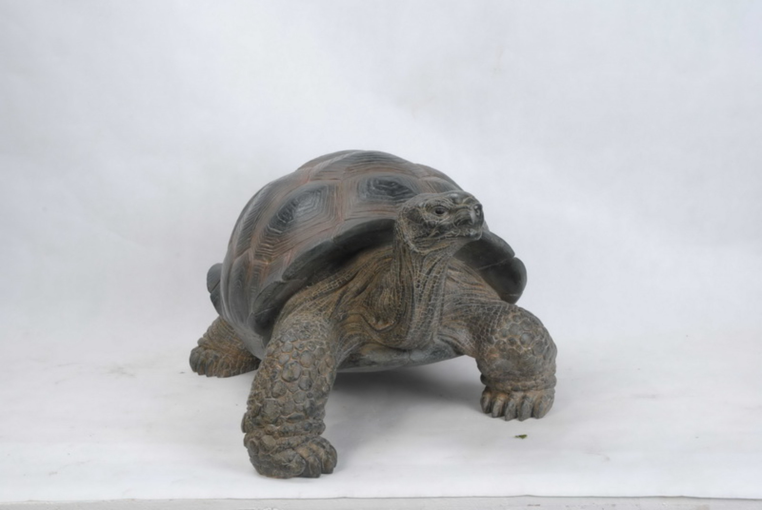 Hi-Line Gift Ltd. Tortoise Statue & Reviews | Wayfair