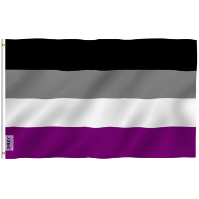 Drapeau de maison en polyester Asexual Pride 36 x 60 po