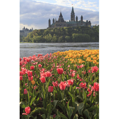 Ottawa Tulip Festival - Photographie sur toile tendue