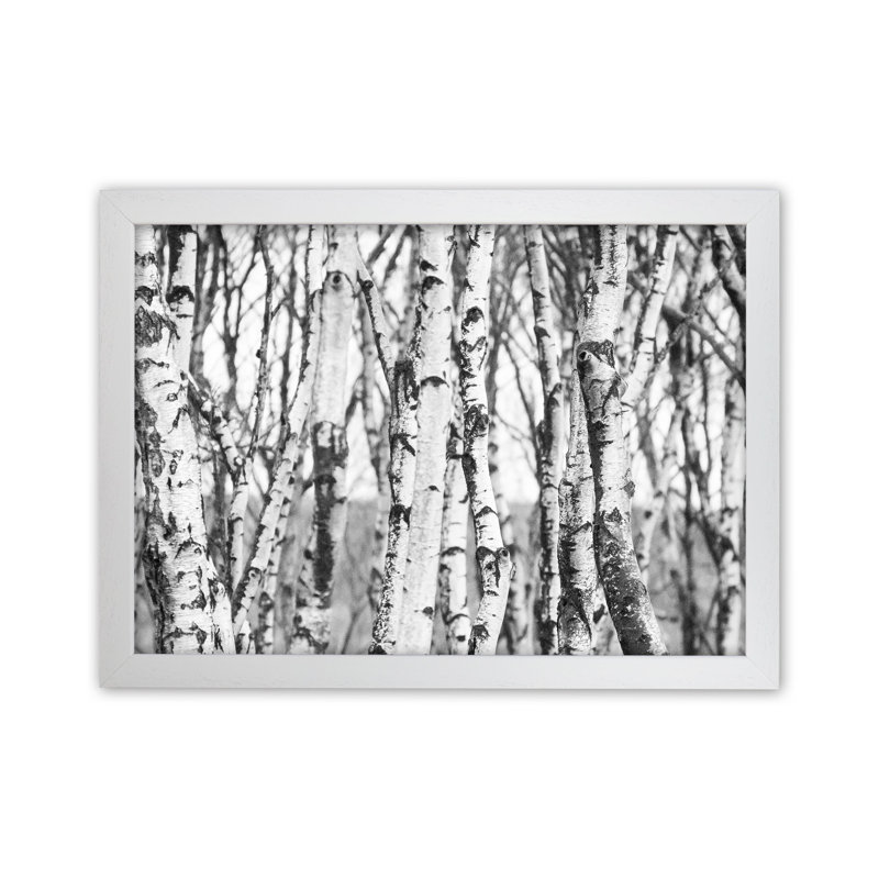 Off the Beaten Path 1 Piece Wall Art, 25cm H x 34cm W x 3cm D, White Framed