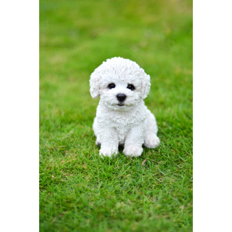 Statue chiot bichon frise assis