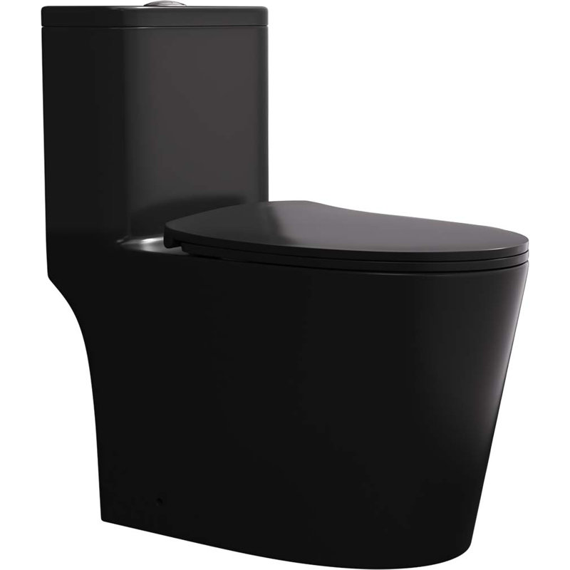 Toilette allongée une pièce 1,6 GPF Tusuton, Noir mat