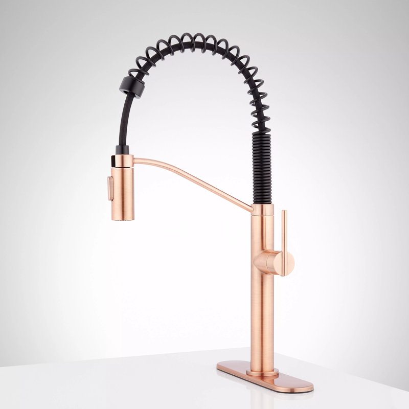 Eiler Single Handle Deck Mounted Pre-Rinse Pull Down Kitchen Faucet with Deck Plate