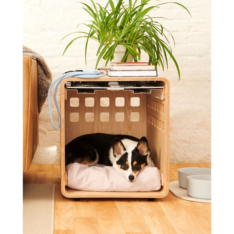 Fable Pet Crate, Medium (25" H x 24" W x 34" D), Signature Ash