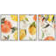 Pastel, citron, orange, agrumes, nourriture, cuisine, cuisson, illustrations, art moderne, décoration-102298290-102298286