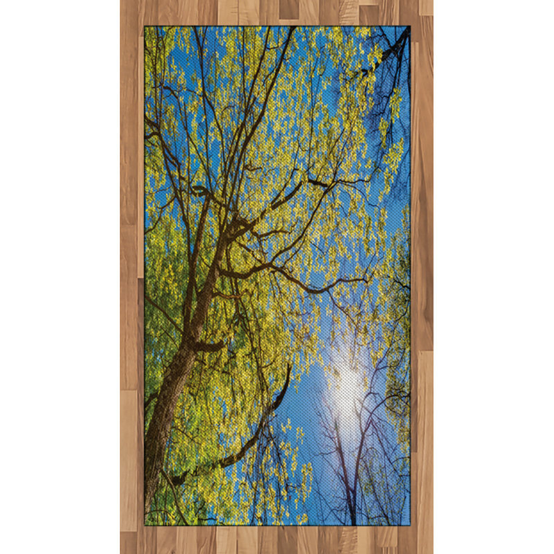 Tapis décoratif long en fibres de polyester haute densité Scenery, Rectangle 2 pi 7 po x 5 pi