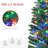 Lighted Christmas Tree