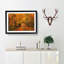 Heading into the Forest - Picture Frame Painting Print-56711982-56711984