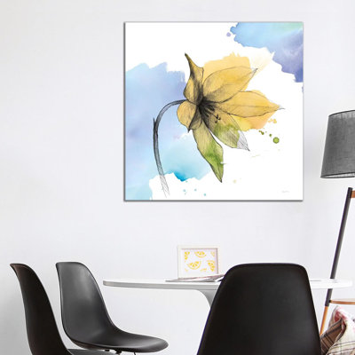 Watercolor Graphite Flower VIII by Avery Tillmon - Wrapped Canvas Painting