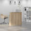 Sherilynn Standing Desk-1949150592